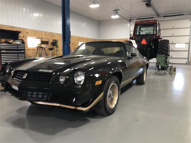 1979 Chevrolet Camaro (CC-1780711) for sale in Charles Town, West Virginia