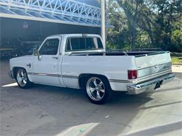 1987 Chevrolet C10 (CC-1787117) for sale in Palmetto, Florida