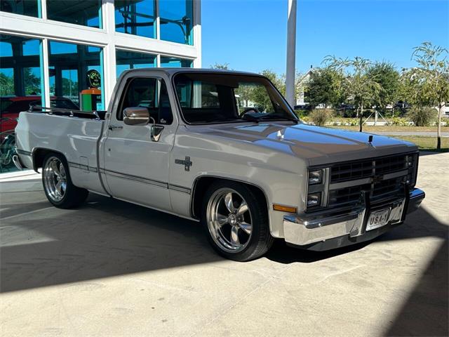 1987 Chevrolet C10 (CC-1787117) for sale in Palmetto, Florida