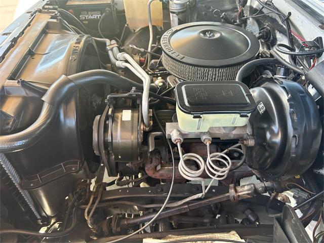 1987 Chevrolet C10 (CC-1787117) for sale in Palmetto, Florida