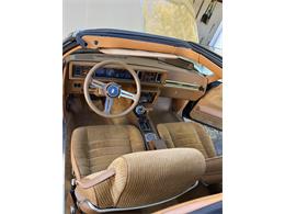 1980 Oldsmobile 442 W-30 (CC-1787284) for sale in Indianapolis, Indiana