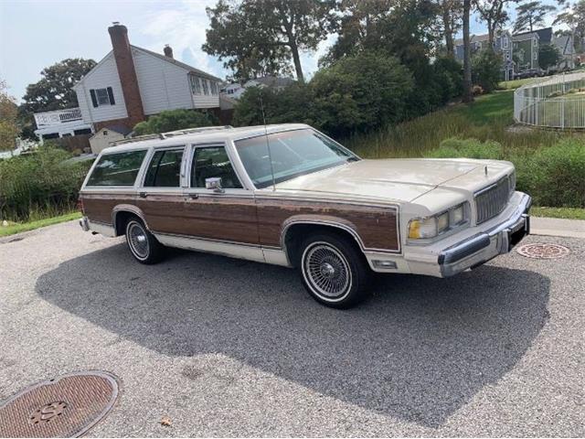 1990 Mercury Grand Marquis (CC-1787397) for sale in Cadillac, Michigan