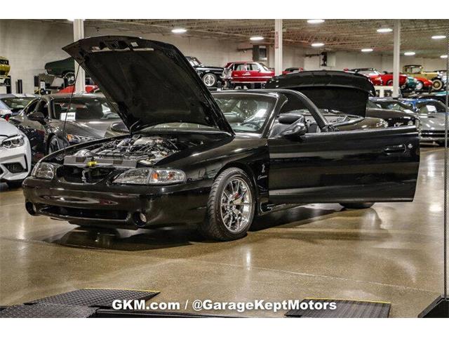 1998 Ford Mustang SVT Cobra (CC-1780741) for sale in Grand Rapids, Michigan