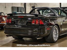 1998 Ford Mustang SVT Cobra (CC-1780741) for sale in Grand Rapids, Michigan
