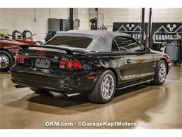 1998 Ford Mustang SVT Cobra (CC-1780741) for sale in Grand Rapids, Michigan