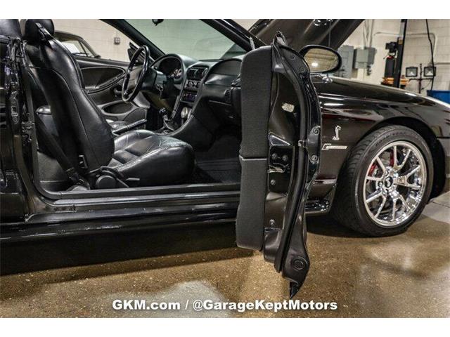 1998 Ford Mustang SVT Cobra (CC-1780741) for sale in Grand Rapids, Michigan