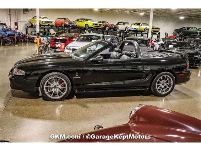 1998 Ford Mustang SVT Cobra (CC-1780741) for sale in Grand Rapids, Michigan