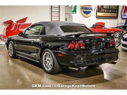 1998 Ford Mustang SVT Cobra (CC-1780741) for sale in Grand Rapids, Michigan