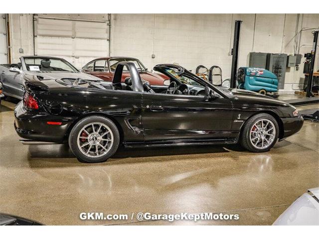 1998 Ford Mustang SVT Cobra (CC-1780741) for sale in Grand Rapids, Michigan