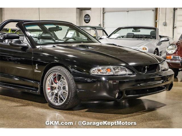 1998 Ford Mustang SVT Cobra (CC-1780741) for sale in Grand Rapids, Michigan