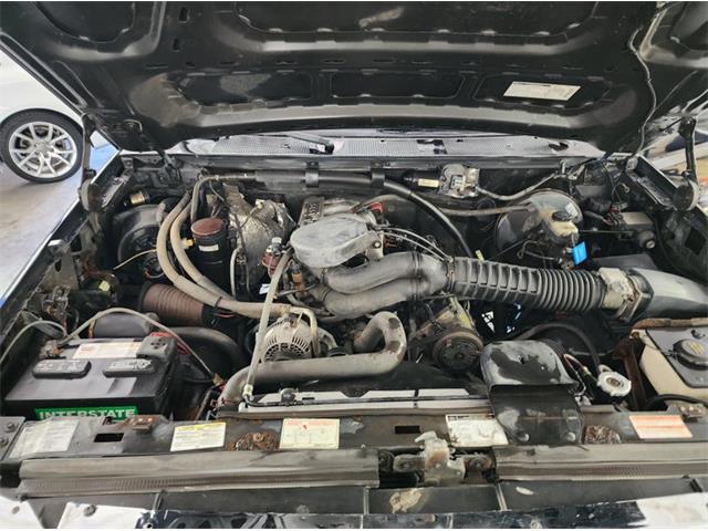 1995 Ford Bronco (CC-1787499) for sale in Lakeland, Florida