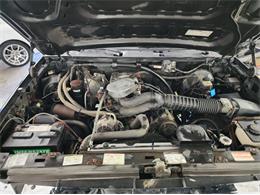 1995 Ford Bronco (CC-1787499) for sale in Lakeland, Florida