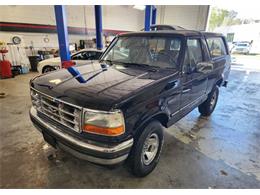 1995 Ford Bronco (CC-1787499) for sale in Lakeland, Florida