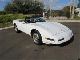 1996 Chevrolet Corvette C4 (CC-1787648) for sale in Apopka, Florida