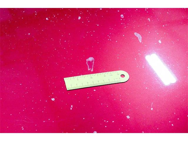 1994 Ford F150 (CC-1787676) for sale in Kentwood, Michigan