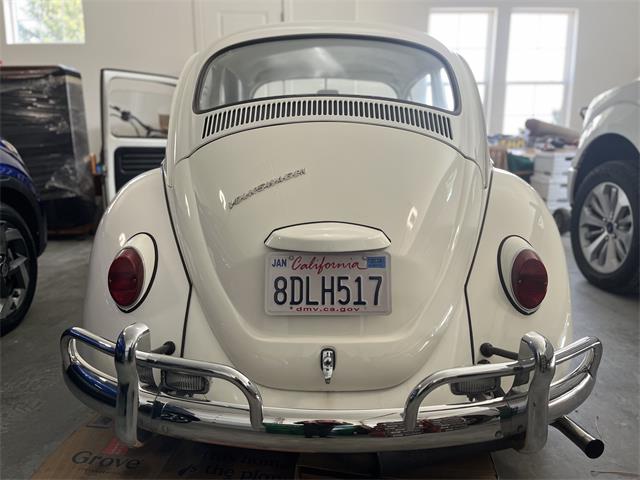 1967 Volkswagen Beetle (CC-1787926) for sale in Reno, Nevada