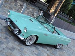 1955 Ford Thunderbird (CC-1788168) for sale in Dallas, Texas