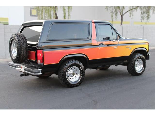 1981 Ford Bronco (CC-1788238) for sale in Phoenix, Arizona
