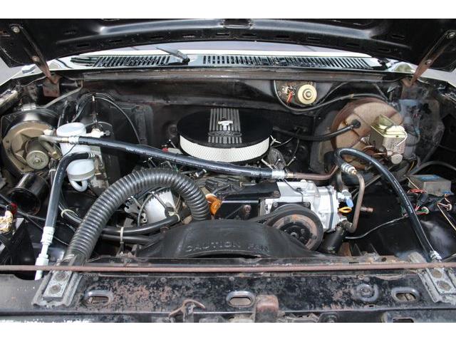 1981 Ford Bronco (CC-1788238) for sale in Phoenix, Arizona