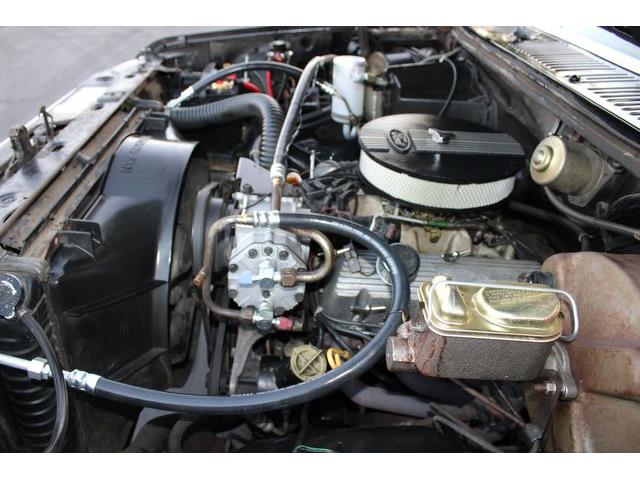 1981 Ford Bronco (CC-1788238) for sale in Phoenix, Arizona