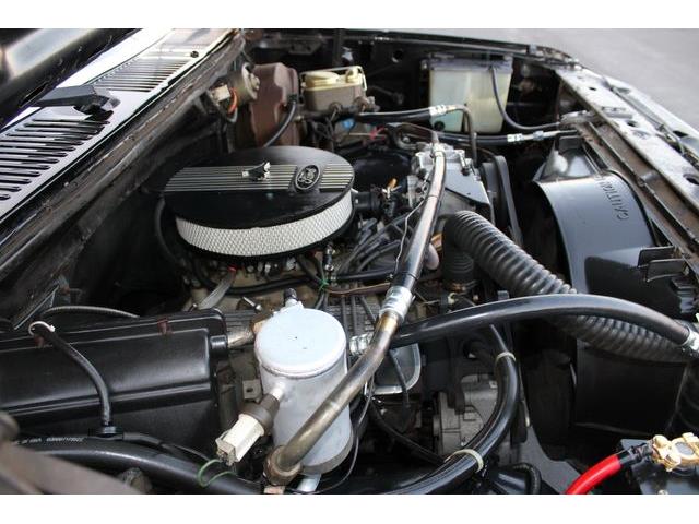 1981 Ford Bronco (CC-1788238) for sale in Phoenix, Arizona