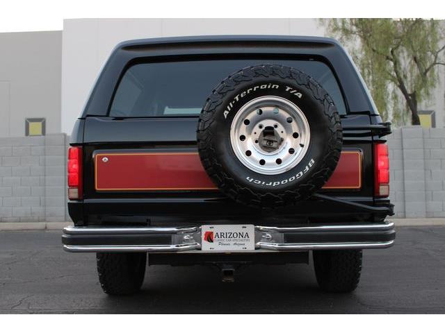 1981 Ford Bronco (CC-1788238) for sale in Phoenix, Arizona