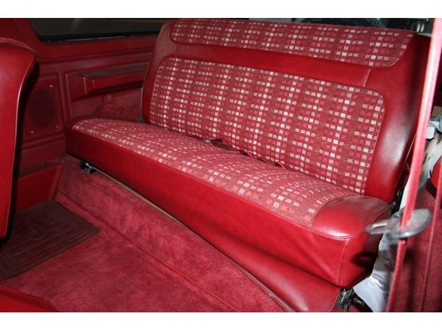 1981 Ford Bronco (CC-1788238) for sale in Phoenix, Arizona
