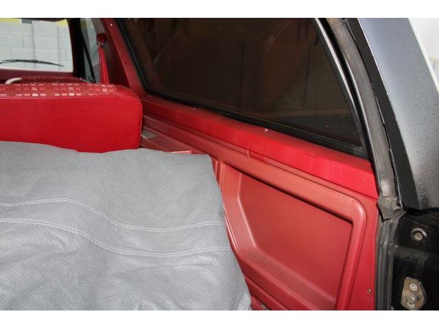 1981 Ford Bronco (CC-1788238) for sale in Phoenix, Arizona