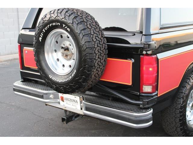 1981 Ford Bronco (CC-1788238) for sale in Phoenix, Arizona