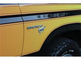 1981 Ford Bronco (CC-1788238) for sale in Phoenix, Arizona