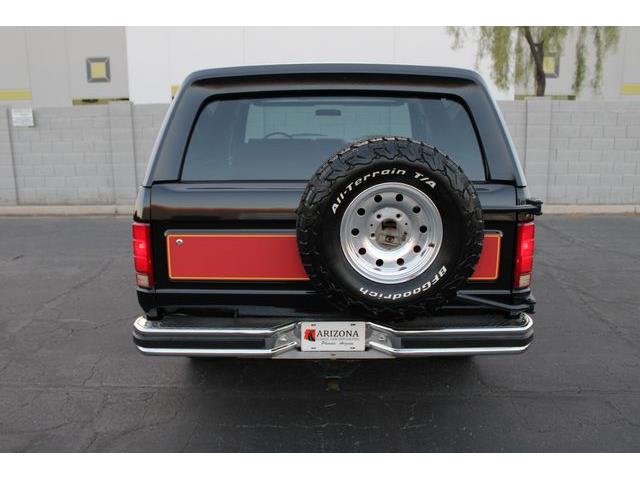 1981 Ford Bronco (CC-1788238) for sale in Phoenix, Arizona