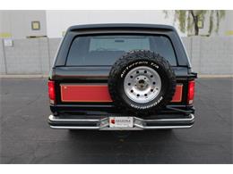 1981 Ford Bronco (CC-1788238) for sale in Phoenix, Arizona