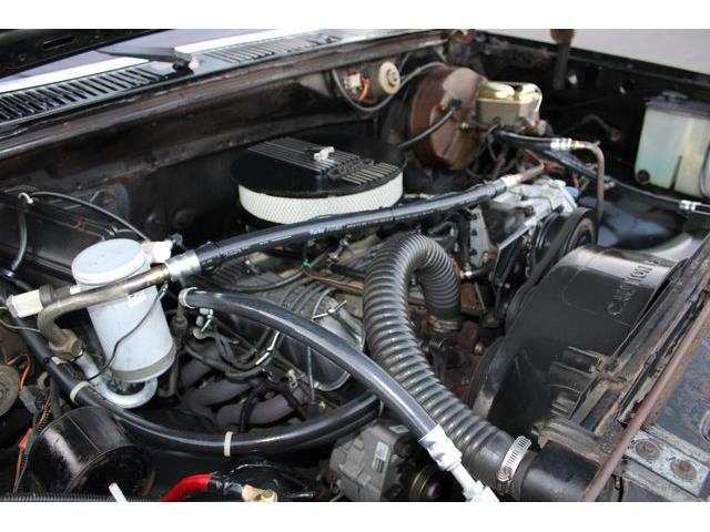 1981 Ford Bronco (CC-1788238) for sale in Phoenix, Arizona