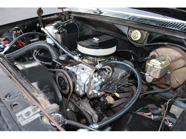 1981 Ford Bronco (CC-1788238) for sale in Phoenix, Arizona