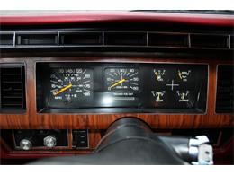 1981 Ford Bronco (CC-1788238) for sale in Phoenix, Arizona