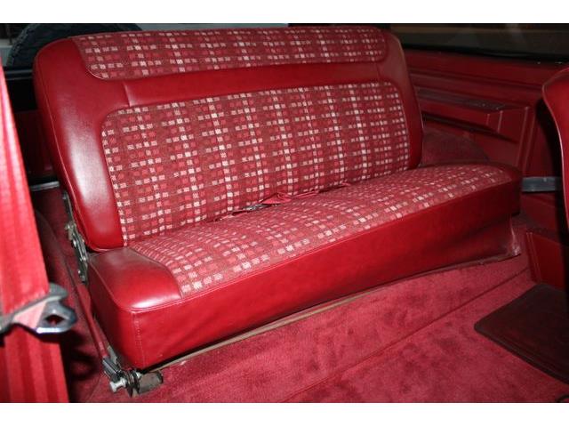 1981 Ford Bronco (CC-1788238) for sale in Phoenix, Arizona