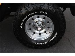 1981 Ford Bronco (CC-1788238) for sale in Phoenix, Arizona