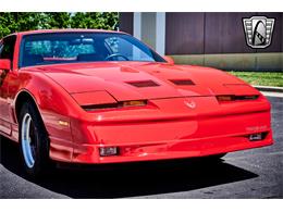 1988 Pontiac Firebird Trans Am (CC-1788278) for sale in O'Fallon, Illinois