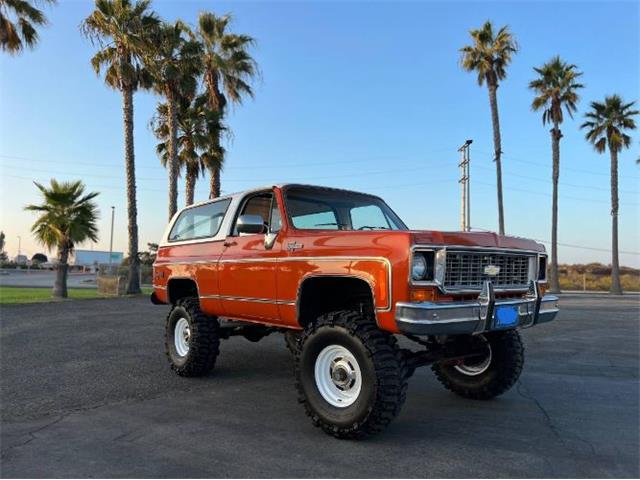 1974 Chevrolet Blazer (CC-1788763) for sale in Cadillac, Michigan