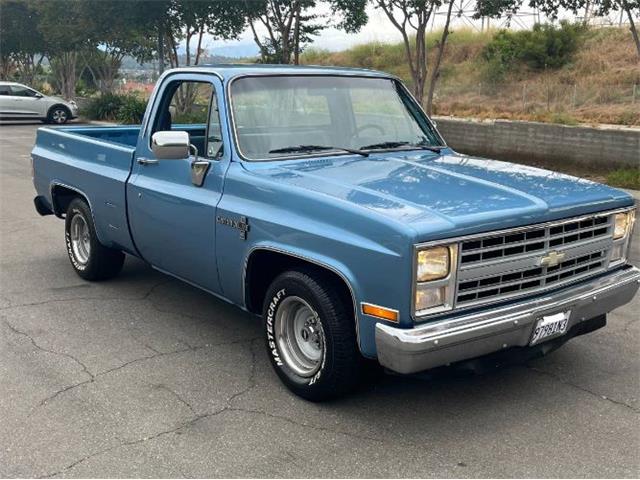 1986 Chevrolet Pickup (CC-1788789) for sale in Cadillac, Michigan