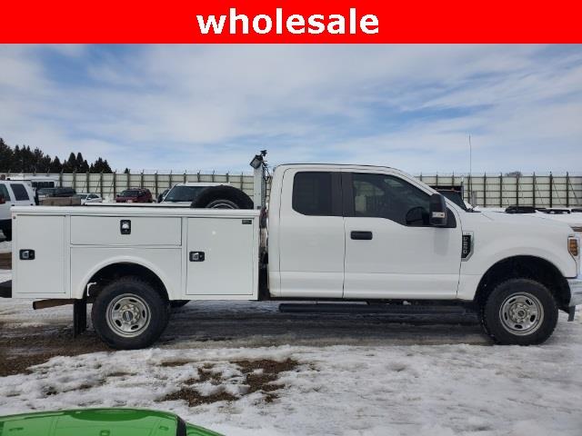 2019 Ford F250 (CC-1789396) for sale in Saint Cloud, Minnesota