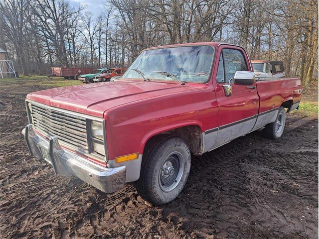 1985 Chevrolet C10 (CC-1789761) for sale in THIEF RIVER FALLS, Minnesota