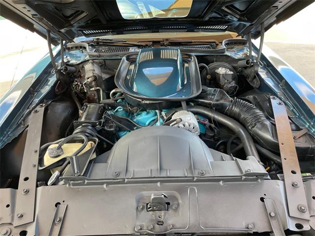 1975 Pontiac Firebird (CC-1789870) for sale in Palmetto, Florida