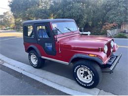 1980 Jeep CJ5 (CC-1789881) for sale in Cadillac, Michigan