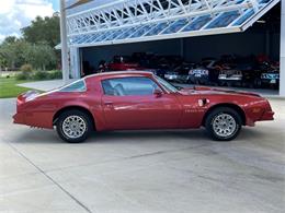 1976 Pontiac Firebird (CC-1789888) for sale in Palmetto, Florida