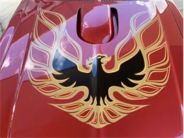1976 Pontiac Firebird (CC-1789888) for sale in Palmetto, Florida