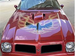 1976 Pontiac Firebird (CC-1789888) for sale in Palmetto, Florida