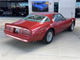 1976 Pontiac Firebird (CC-1789888) for sale in Palmetto, Florida