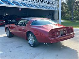 1976 Pontiac Firebird (CC-1789895) for sale in Palmetto, Florida