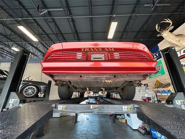 1976 Pontiac Firebird (CC-1789895) for sale in Palmetto, Florida